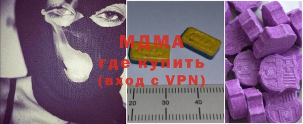 шишки Бородино