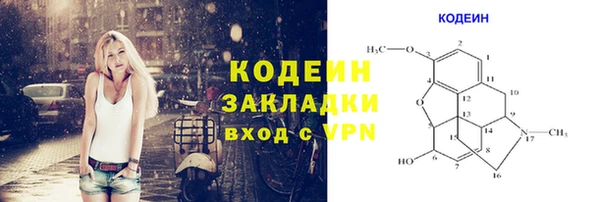 шишки Бородино
