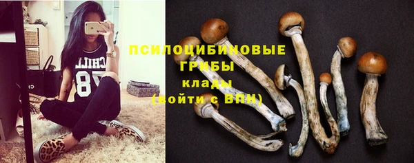 шишки Бородино