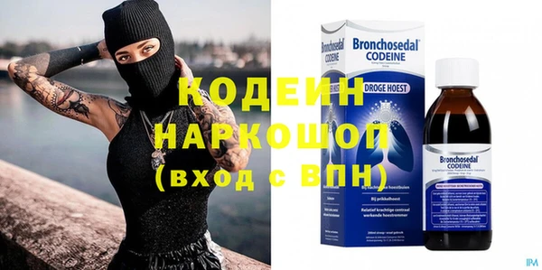 шишки Бородино