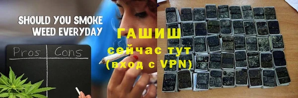 шишки Бородино