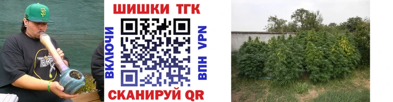 купить наркоту  Омск  Канабис семена 